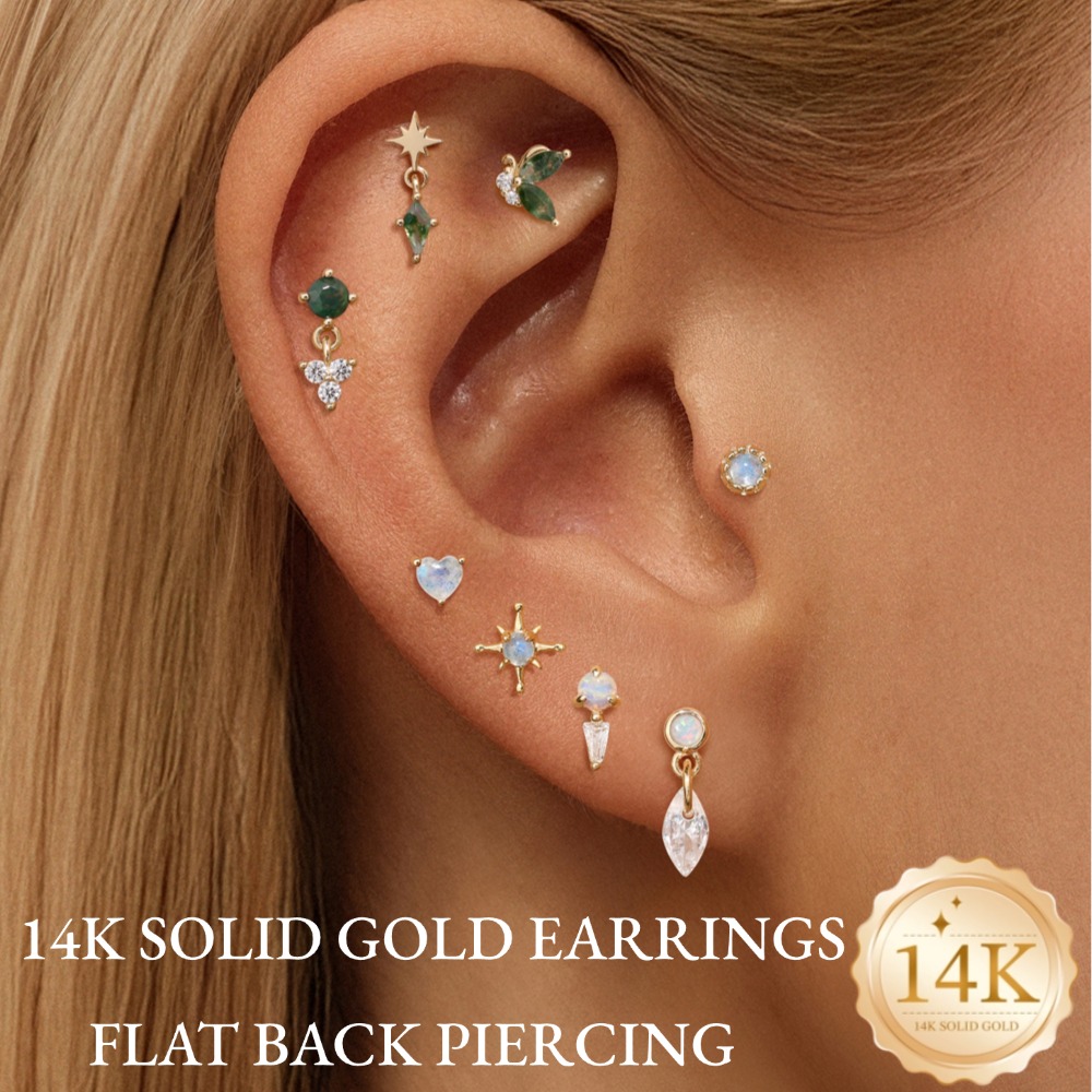 DIeSchein 14K Solid Gold Helix - огляд і ціна Tragus Flat Back